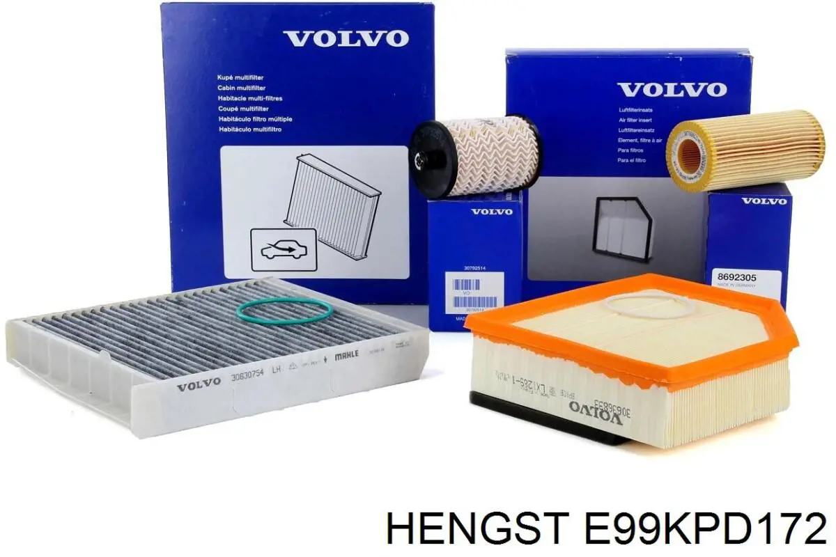 E99KPD172 Hengst Фільтр палива
