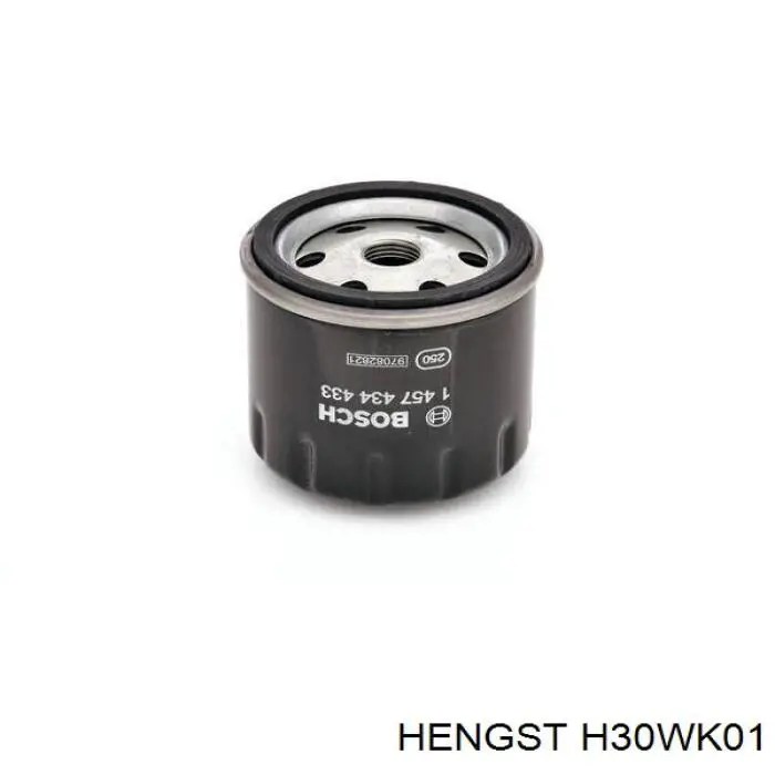 H30WK01 Hengst фільтр паливний