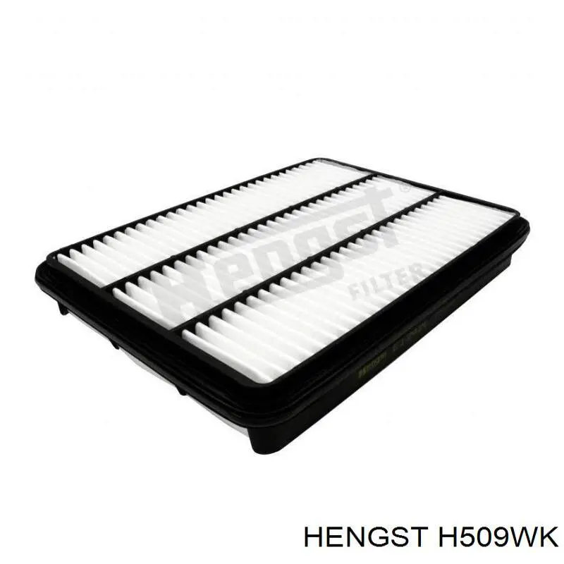 Паливний фільтр H509WK Hengst