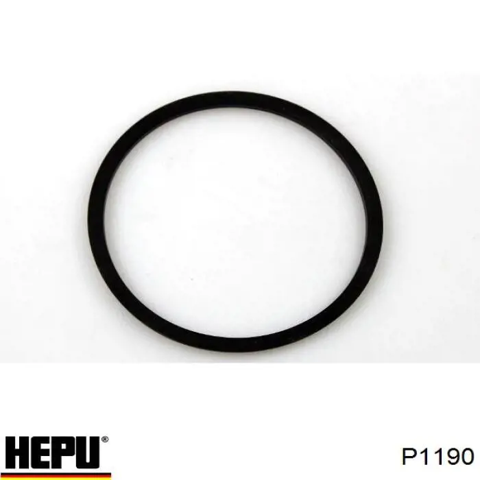 Водяний насос Hepu P1190