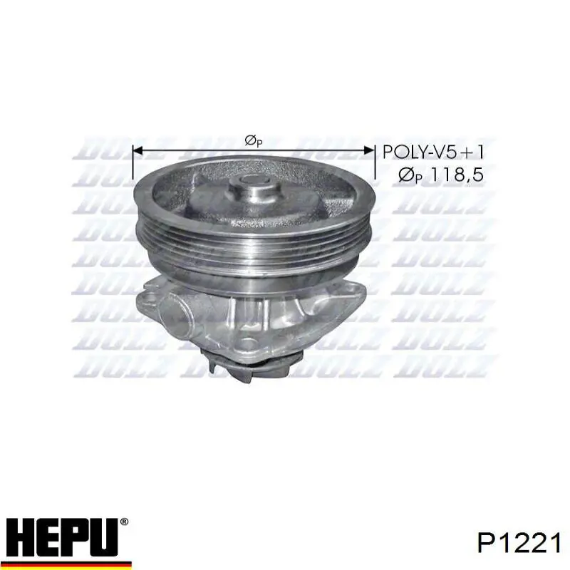  P1221 Hepu