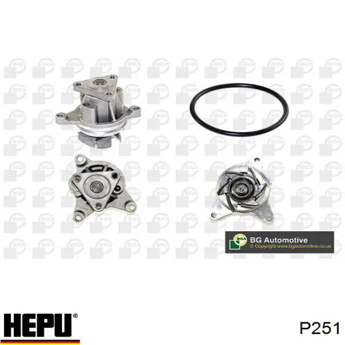 Водяний насос Hepu P251