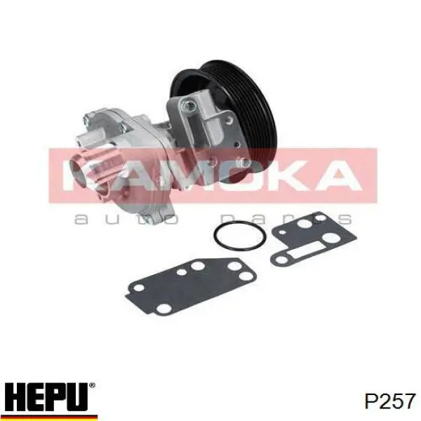 Помпа P257 Hepu