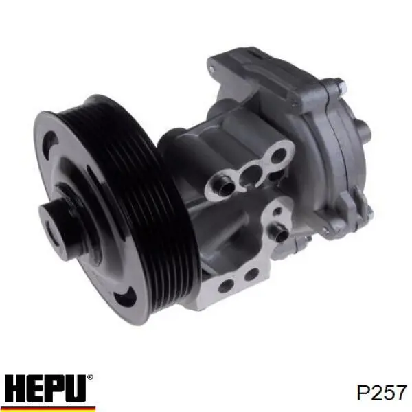 Купити P257 Hepu Насос охолоджуючої рідини