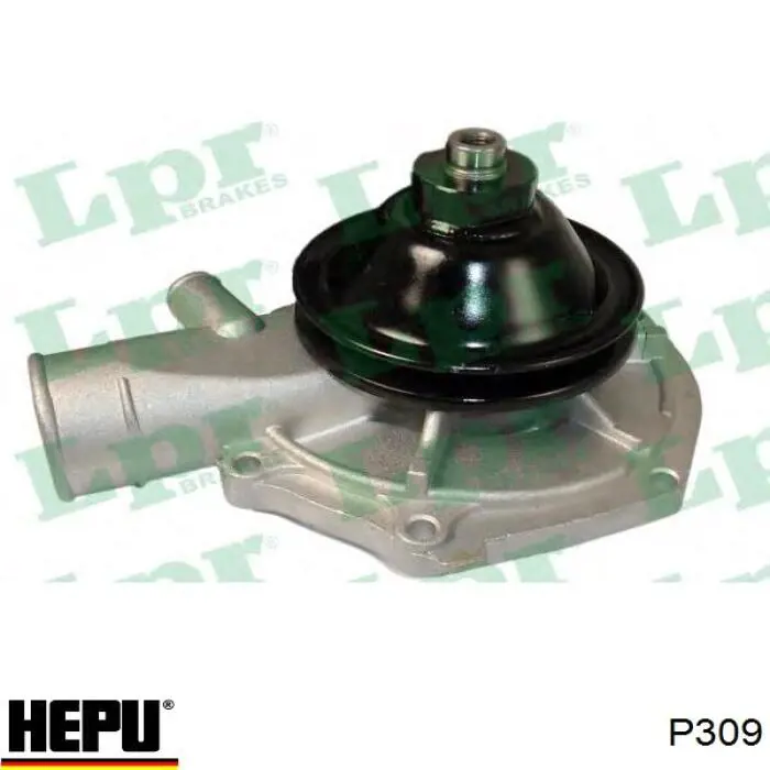 Водяний насос Hepu P309