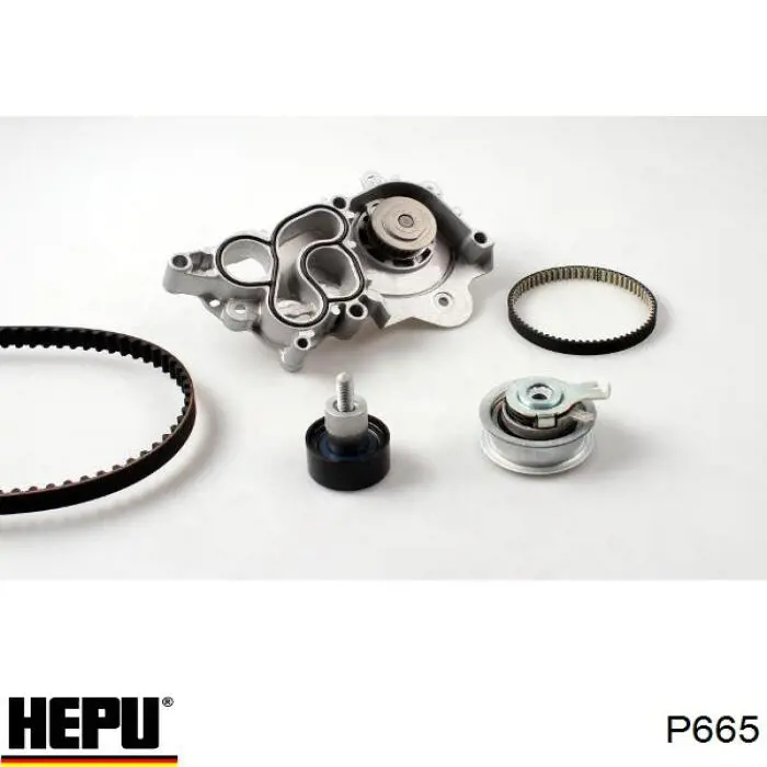 Водяний насос Hepu P665