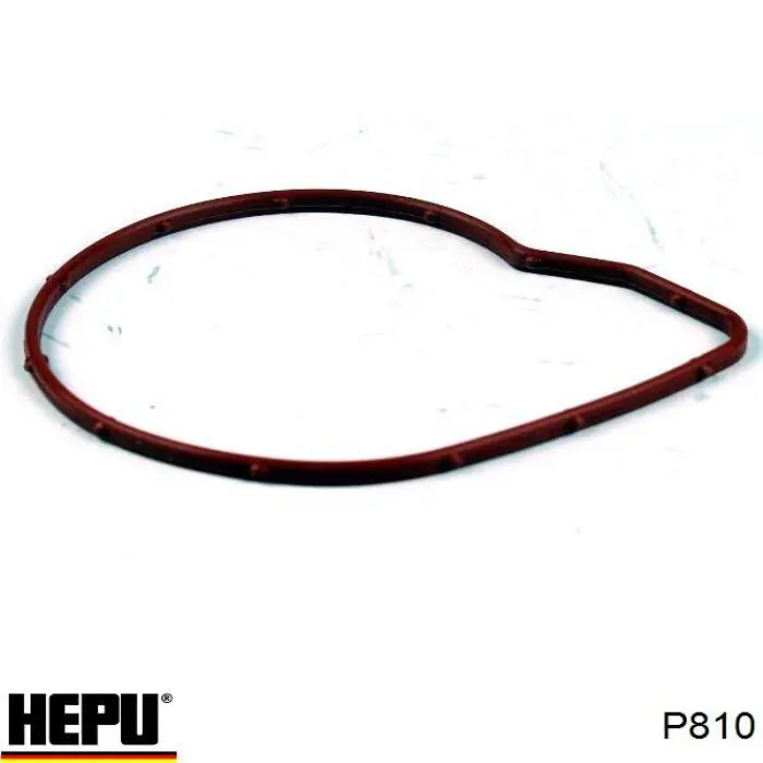 Помпа P810 Hepu