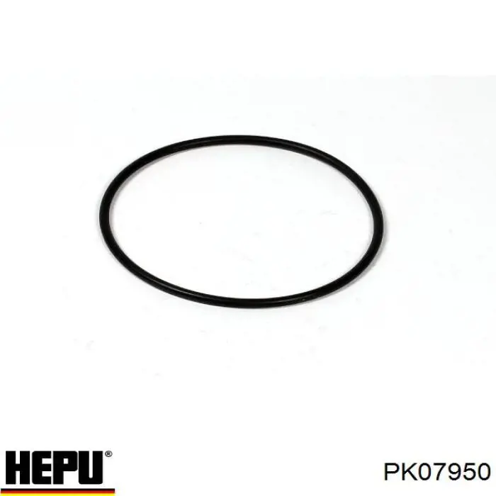 Комплект ГРМ PK07950 Hepu