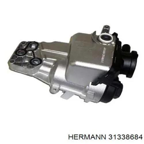  31338684 Hermann