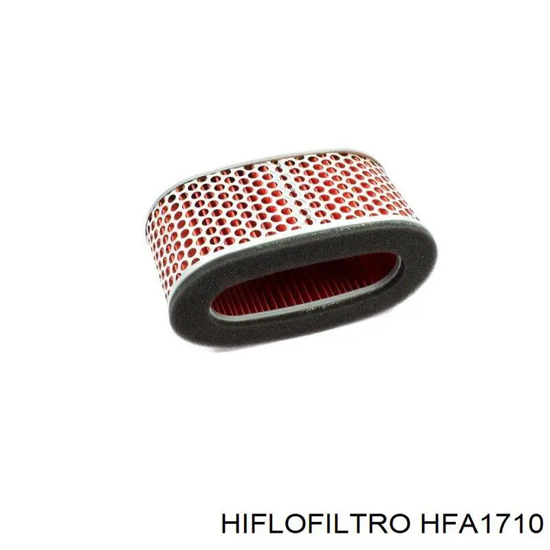 HFA1710 Hiflofiltro Повітряний фільтр двигуна