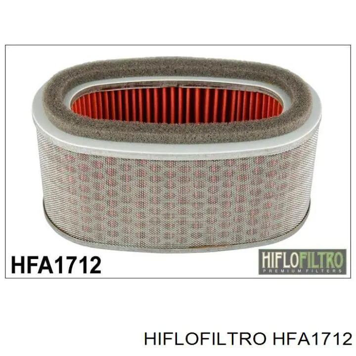 Елемент повітряного фільтра Hiflofiltro HFA1712 ціна, від 26.51 USD