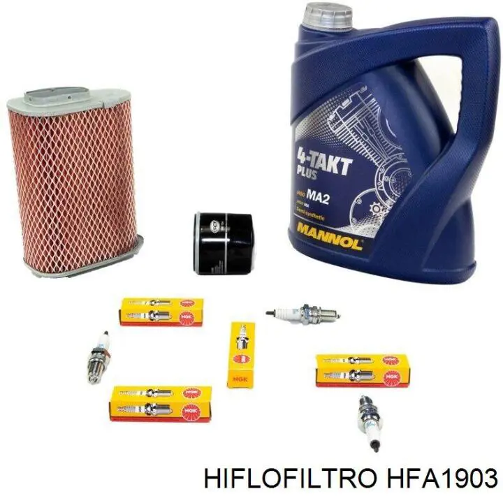 Елемент повітряного фільтра Hiflofiltro HFA1903 ціна, від 24.71 USD