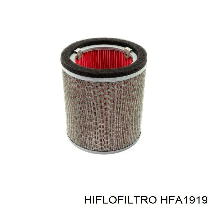 HFA1919 Hiflofiltro Повітряний фільтр двигуна