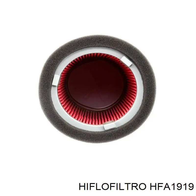 Елемент повітряного фільтра Hiflofiltro HFA1919 ціна, від 26.45 USD