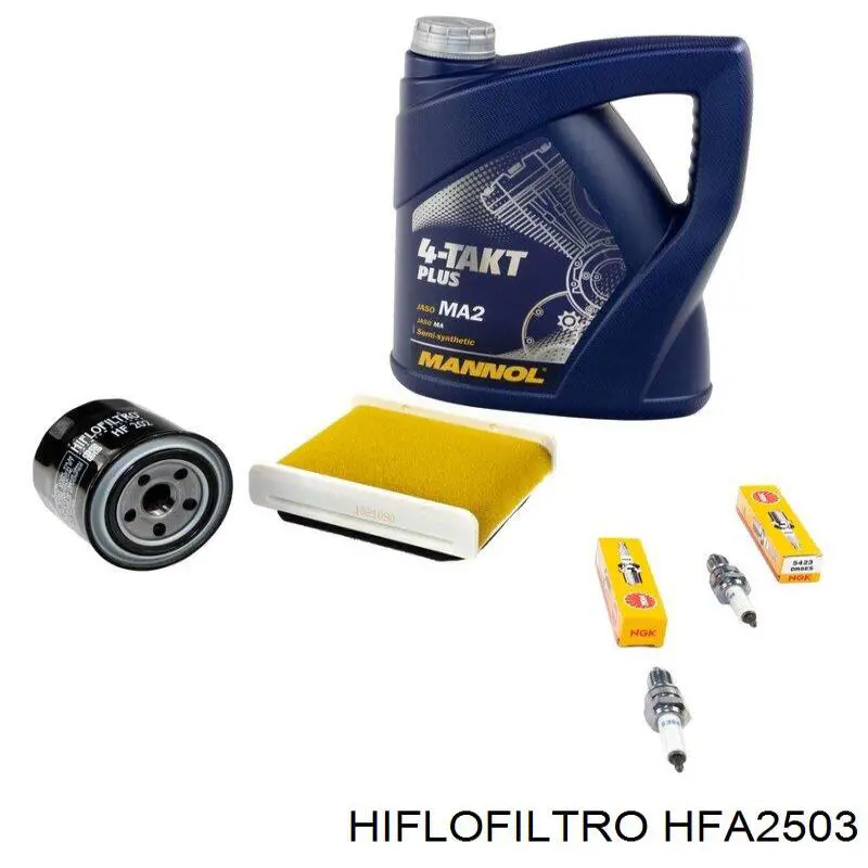 Повітряний фільтр HFA2503 Hiflofiltro
