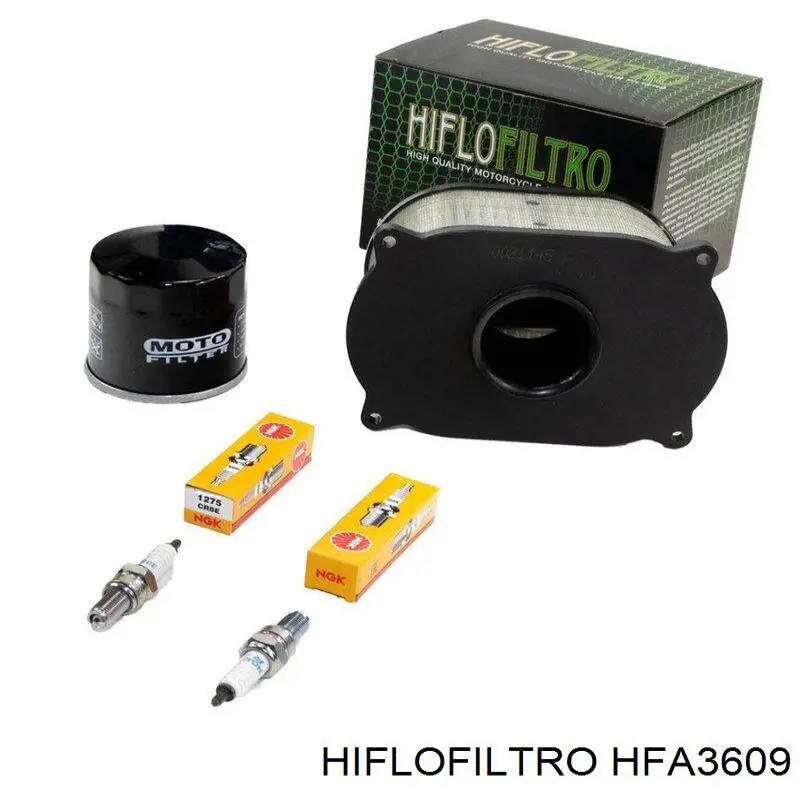 Купити HFA3609 Hiflofiltro Автомобільний фільтр повітря