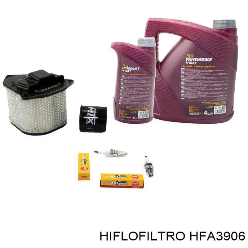 Купити HFA3906 Hiflofiltro Автомобільний фільтр повітря