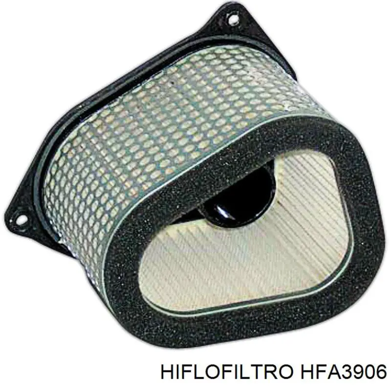 Елемент повітряного фільтра Hiflofiltro HFA3906 ціна, від 34.82 USD