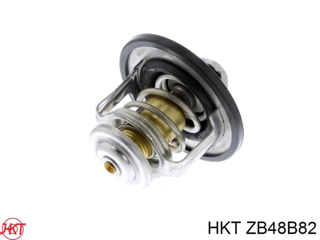 Купити ZB48B82 HKT Термостат в корпусі