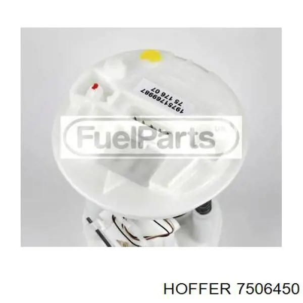 Паливний насос Hoffer 7506450