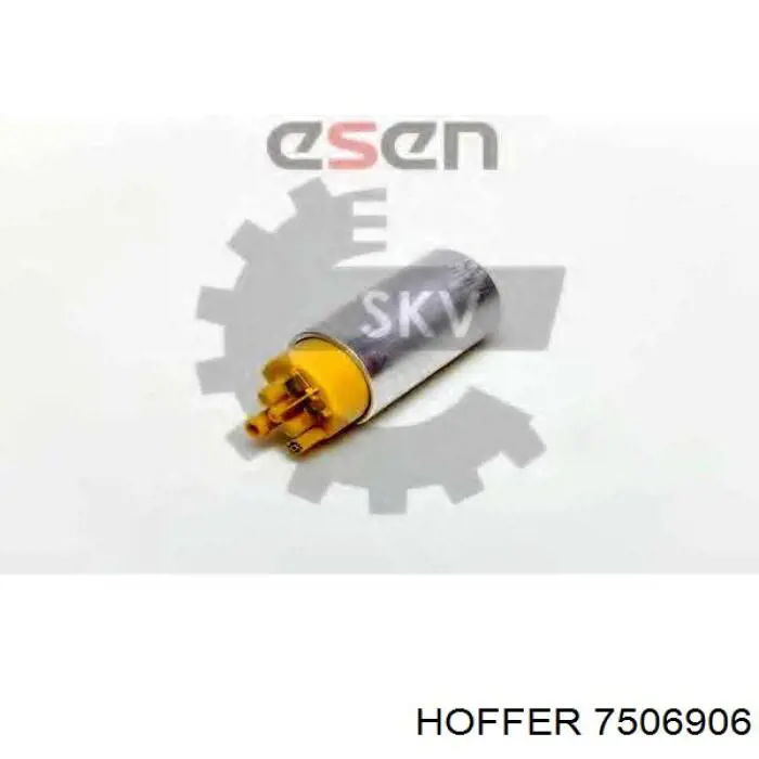 Паливний насос електричний, занурювальний Hoffer 7506906 ціна, від 23.92 USD