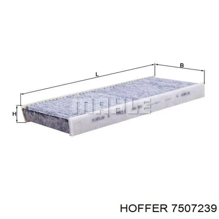 7507239 Hoffer 