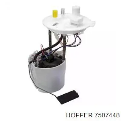 Модуль бензонасоса Delphi FG241612B1 ціна, від 173.02 USD