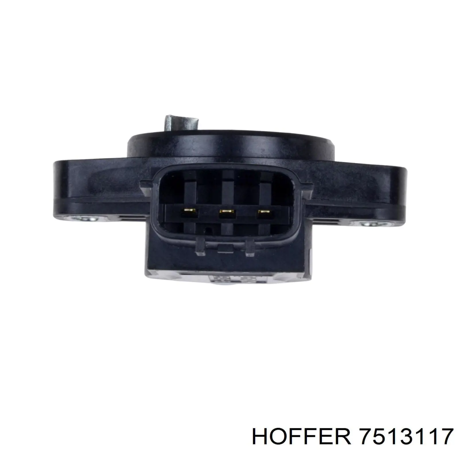 Купити 7513117 Hoffer Потенціометр