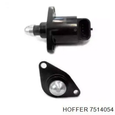 Клапан холостого ходу Hoffer 7514054 ціна, від 7.79 USD