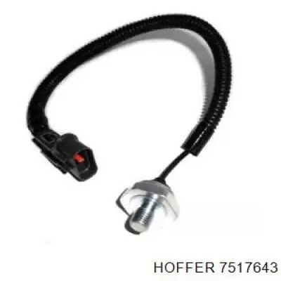 7517643 Hoffer Датчик детонації