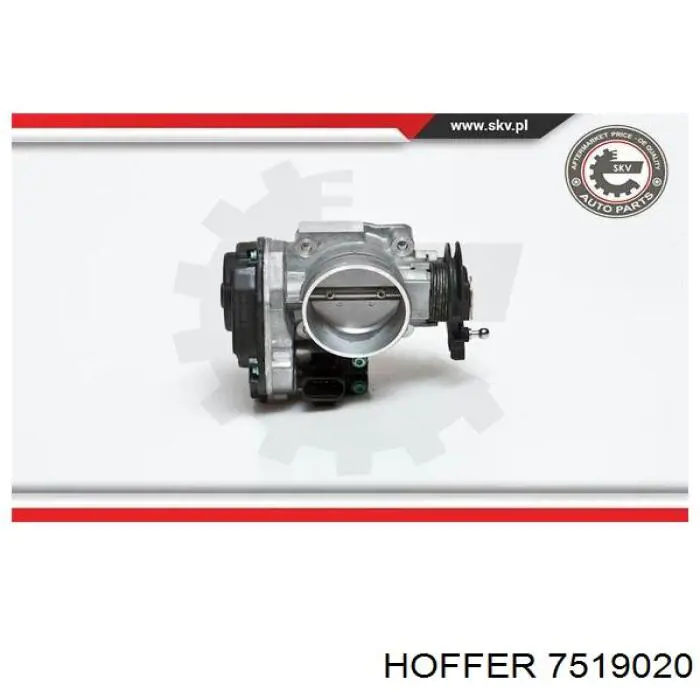 802000000047 Magneti Marelli Дросільна заслінка в зборі