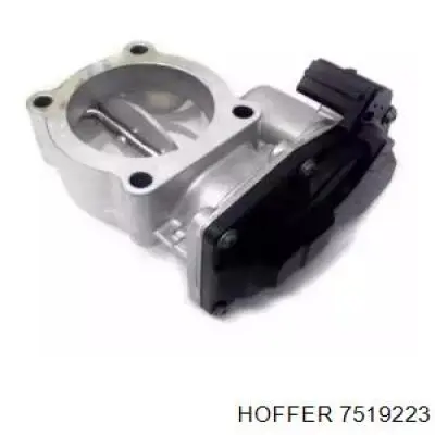 7519223 Hoffer Дросільна заслінка в зборі