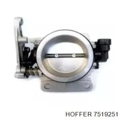 7519251 Hoffer Дросільна заслінка в зборі
