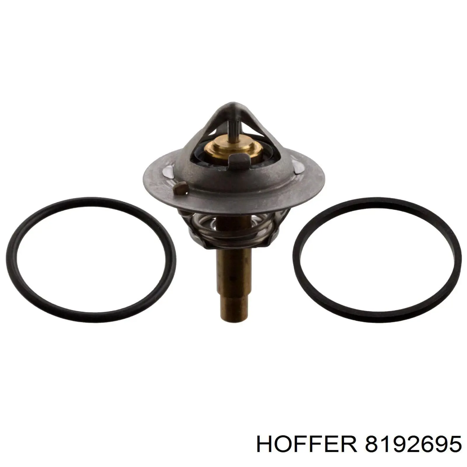 8192695 Hoffer Авто термостат