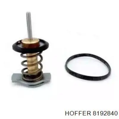 Купити 8192840 Hoffer Термостат в корпусі