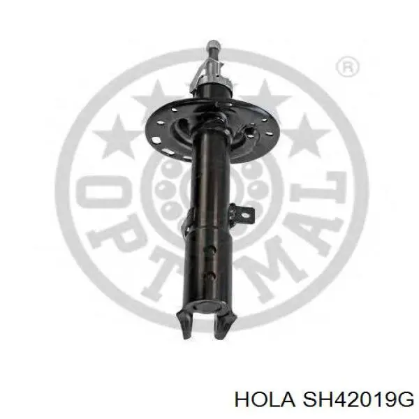 Купити SH42019G Hola Амортизатор задній, правий