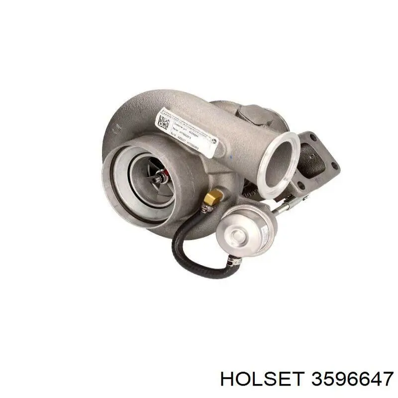 3596647 Holset 