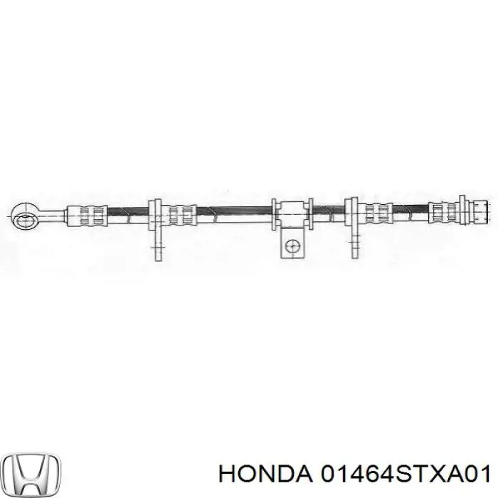 Купити 01464STXA01 Honda Гальмівні шланги передні