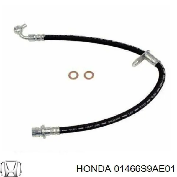 01466S9AE01 Honda Шланг гальмівний задній