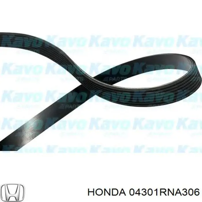 04301RNA306 Honda Поліклиновий ремінь