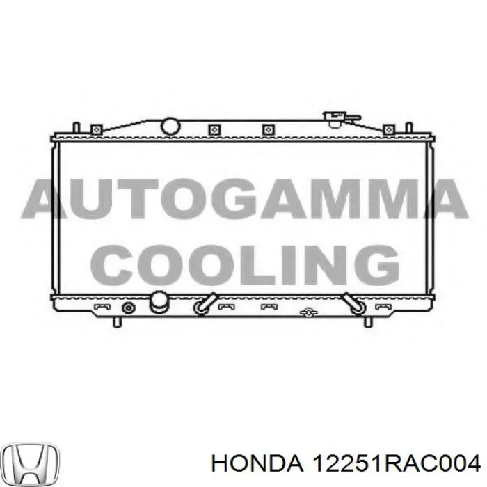 12251RAC004 Honda прокладка головки блока циліндрів (гбц)