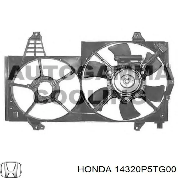 Ремінь ТНВД Honda 14320P5TG00