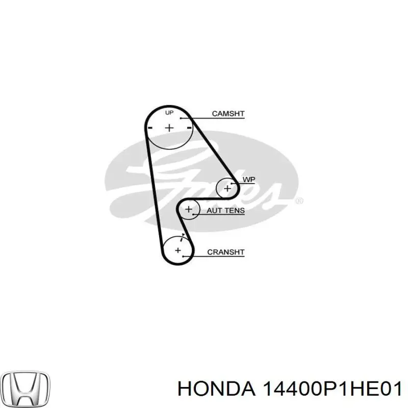 Зубчастий ремінь Honda 14400P1HE01 ціна, від 14.11 USD