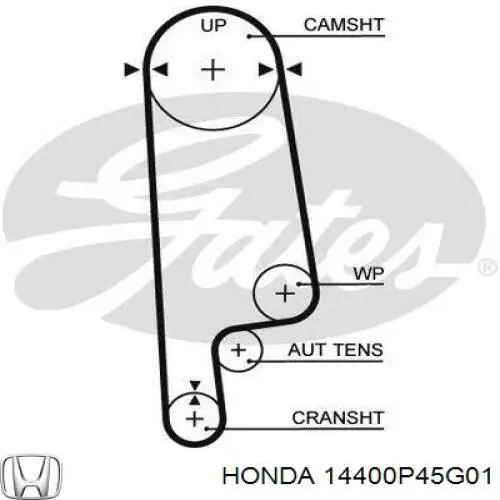 Зубчастий ремінь Honda 14400P45G01 ціна, від 13.51 USD