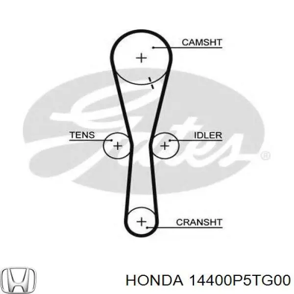 14400P5TG00 Honda ремінь грм