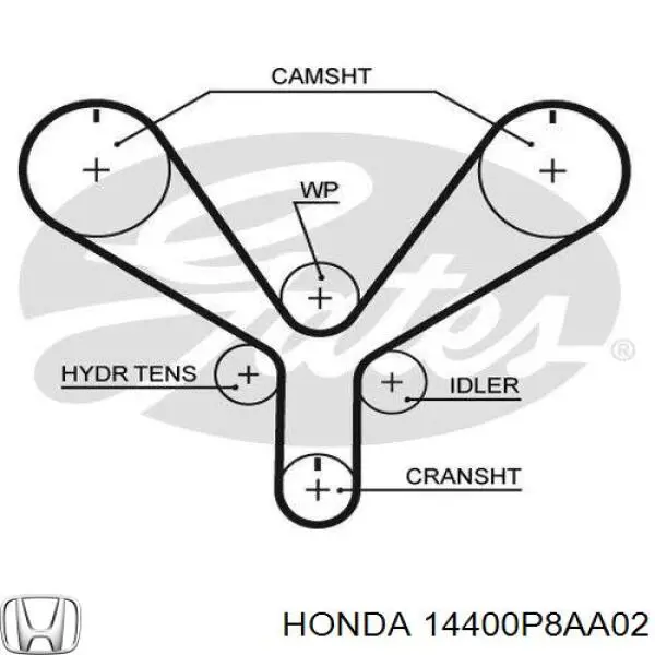 ГРМ ремінь Honda 14400P8AA02