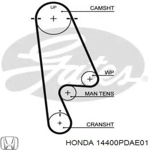 Зубчастий ремінь Honda 14400PDAE01 ціна, від 14.59 USD