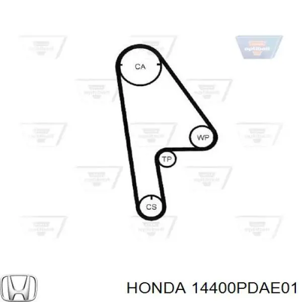 Купити 14400PDAE01 Honda Ремінь газорозподільного механізму