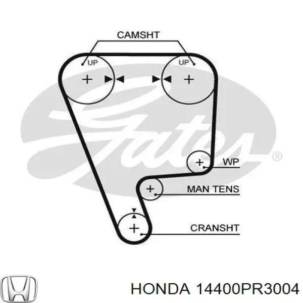 Ремінь ГРМ 14400PR3004 Honda