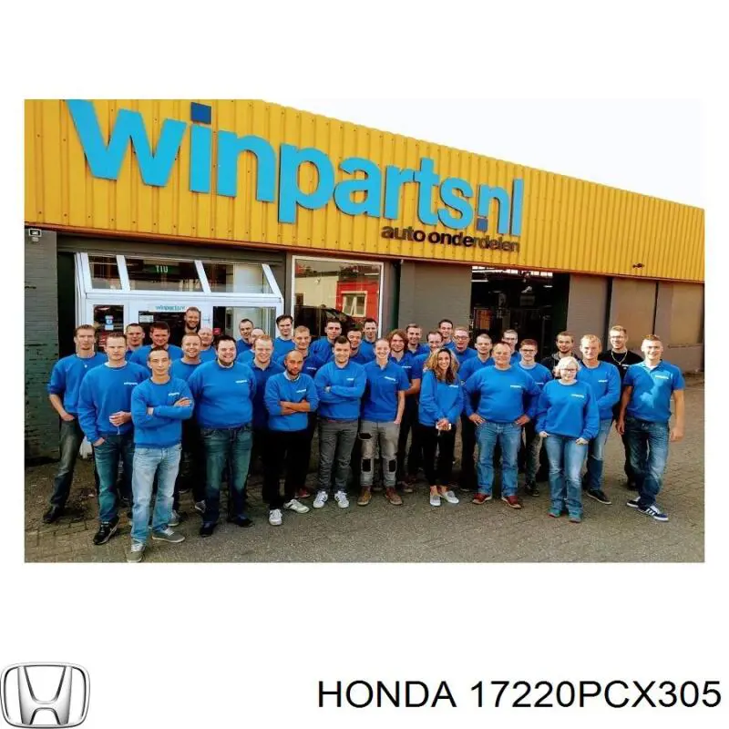 17220PCX305 Honda Повітряний фільтр двигуна